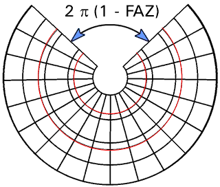 Graphik Albers-Netz